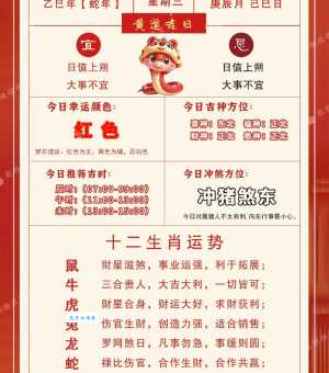 风轻云淡指的是什么生肖？最佳答案解析一看就懂！