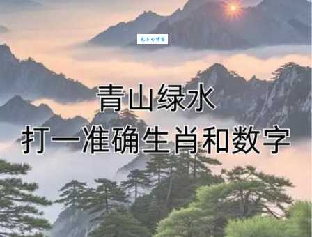 贪小失大最佳答案一肖：避开这些坑才不会错！