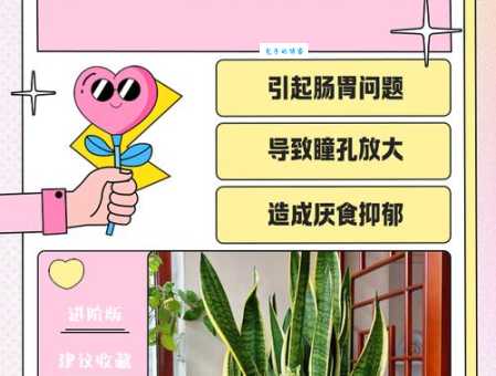 穿金戴银戴兰花是什么动物的谜底，看完你就明白了！