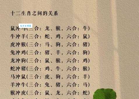 迟眉钝眼到底是什么生肖？权威解释在这里！