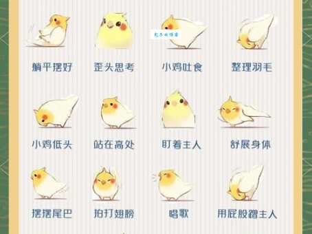 鹑衣鹄面指什么生肖?原来不是具体的动物!