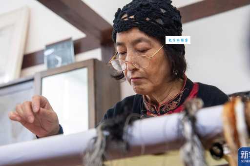 飞针走线打一动物是什么?聪明人一眼就猜到!