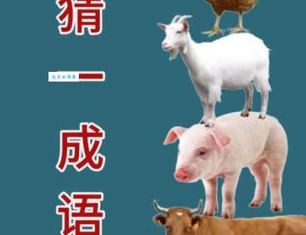 九牛一毛打一准确动物是什么？答案让你意想不到！