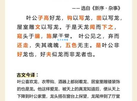 叶公好龙是什么意思？一句话让你快速掌握精髓！