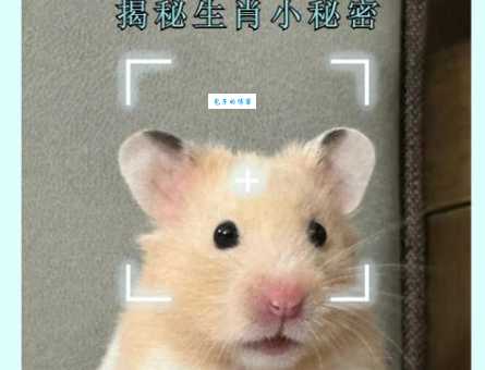 顺手牵羊打一动物到底是什么？原来就是它！