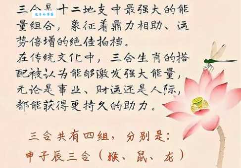 详解偷合取容代表是打一最佳准确生肖，避免踩坑！