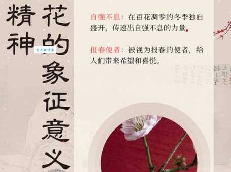 什么梅花香自苦寒来是名句吗？理解其蕴含的人生哲理