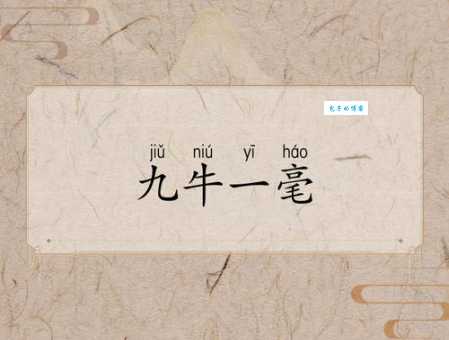 九牛一毛是什么意思？别再误解，正确用法在这里！