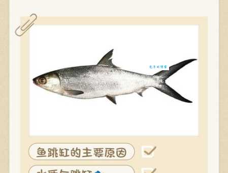 鱼贯而入的意思你懂吗?一篇带你彻底了解!