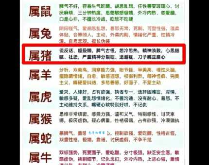 一接如旧指打一最佳准确生肖，答案究竟是哪个？