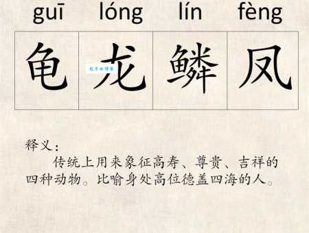 老态龙钟打一最佳动物，高寿之谜原来是它！