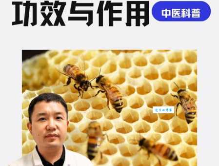 揭秘蜂房蚁穴是什么生肖?看完你就明白了!