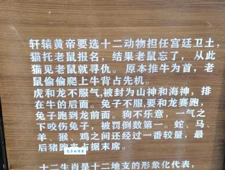 揭秘含瑕积垢是什么生肖?背后深意大解析!