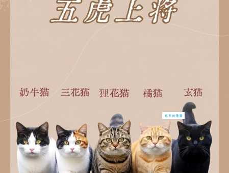 斗酒百篇打一最佳动物，为什么大家都选这个？