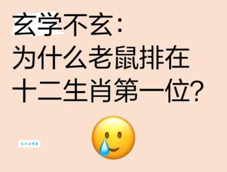 简丝数米到底生肖是什么？轻松解决你的疑惑！