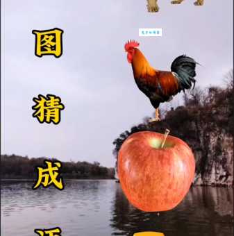 浑身是胆猜一肖的正确答案！一分钟教你猜对！