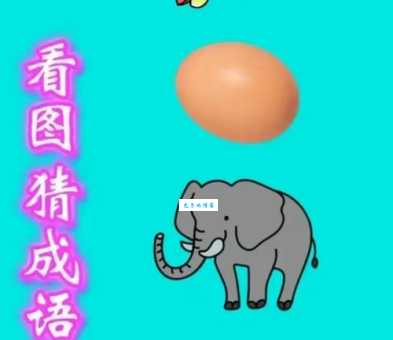 牛刀小试打一准确动物,来看看你猜对了吗?