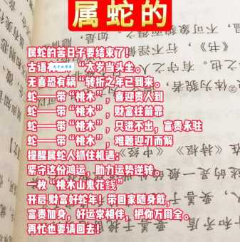 揭秘萍踪血迹是什么生肖？老传统说法告诉你！