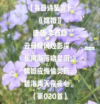 晓星下沉的意思到底是什么？深入解读背后的考量！