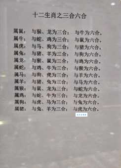 点题成金是什么生肖？这个谜底终于被揭开！