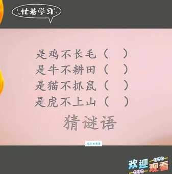 明眸皓齿打一准确动物谜底，看完你就豁然开朗！