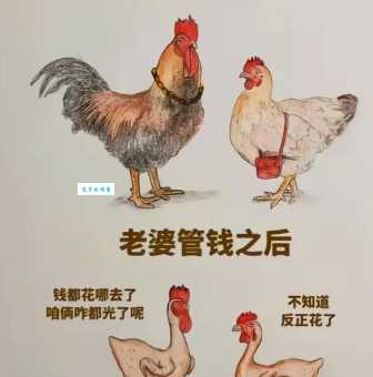 “用钱如水是什么动物”原来和这几种行为有关联！