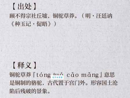 铜驼草莽是什么生肖对应的？民间传说大揭秘！