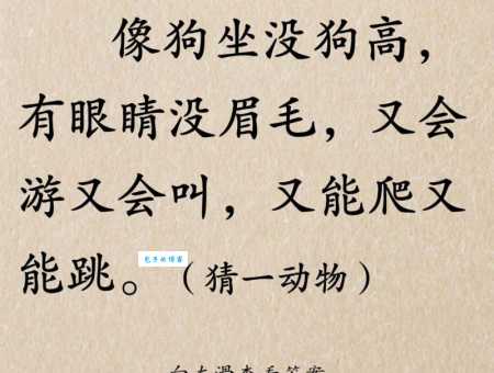 这动物阴阳怪气，打一准确动物的谜底！