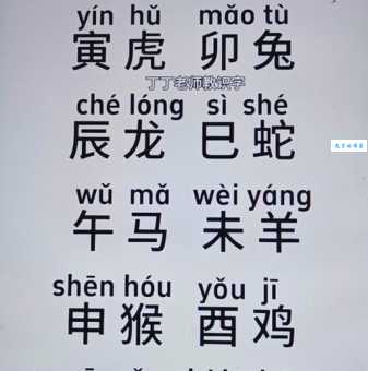 弄清阴惨阳舒是什么生肖?教你简单分辨不再迷茫!