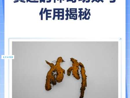 蜜饯黄连打一个成语，聪明人一看就懂！