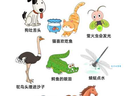 关于掘地三尺打一准确动物，它的秘密全在这里！