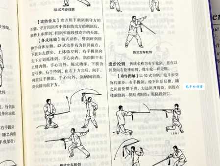 飞燕游龙是什么意思？江湖高手招式全解析！