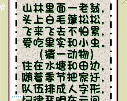 非亲非故打一正确动物有什么奥秘?一起来解开!