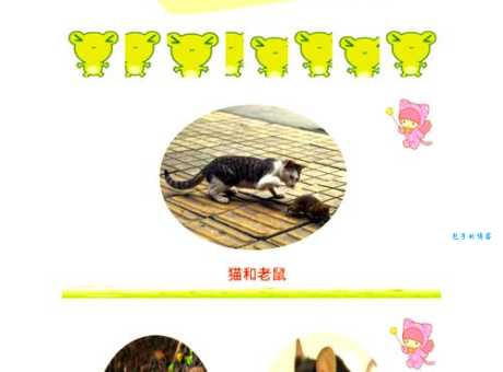 非亲非故打一正确动物有什么奥秘？一起来解开！