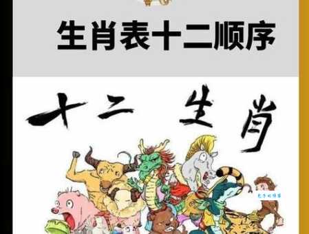 泽吻磨牙是什么生肖?别再瞎猜了看这里!