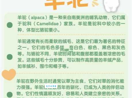 问羊知马最正确的动物有几种？揭秘隐藏的真正含义！