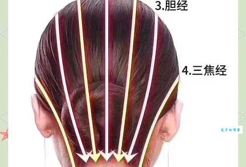 送梳子的含义全解析,送礼之前快来看看吧!