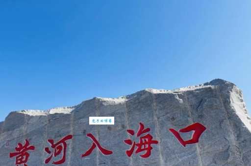 黄河口生态旅游区必玩项目有哪些？资深游客来分享！