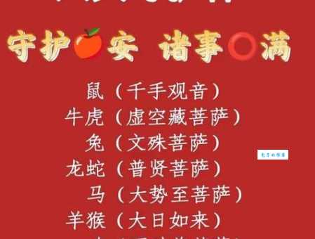 众醉独醒代表什么动物？快速获取准确答案！