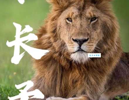 苟延残喘打一最佳动物,这道题到底该怎么猜?