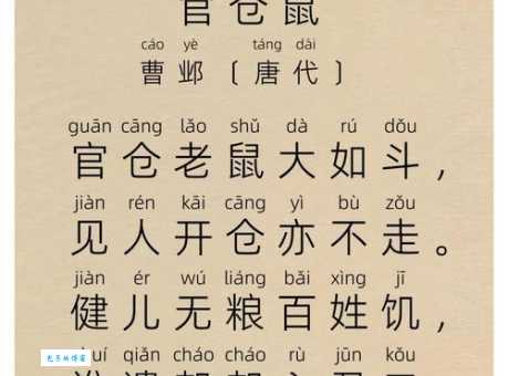 满腹经纶打一最佳动物,为什么是这个它?