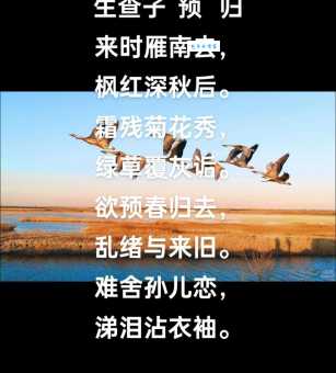 大雁北飞是什么季节?别再猜了,答案在这里!