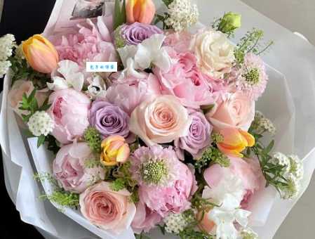 结婚纪念日送什么花合适?常见花卉选择看这里!