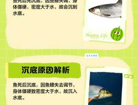 鱼烂而亡猜一生肖,聪明人才能猜对的谜语!