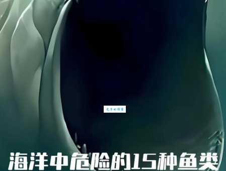 排名第一最毒的鱼是什么鱼?带你认识海洋杀手! 排名第一最毒的鱼是什么鱼?带你认识海洋杀手!