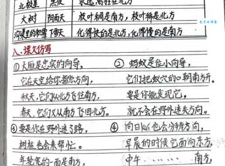 辨别方向的方法有哪些?野外迷路不用怕!