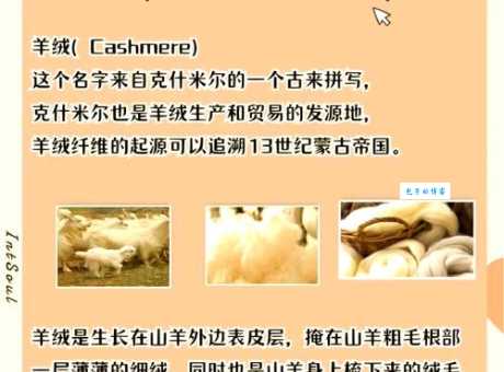 你知道毛茸茸还是毛绒绒?正确用法看完秒懂! 你知道毛茸茸还是毛绒绒?正确用法看完秒懂!