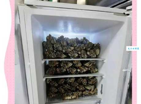 买回来的螃蟹放冰箱保鲜可以放几天？别放错了地方！