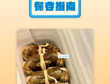 买回来的螃蟹放冰箱保鲜可以放几天？别放错了地方！