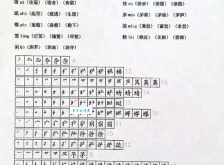 蜻可以组什么词？记住这几个就够了！